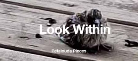 petalouda-pieces-blog-look-within-WM